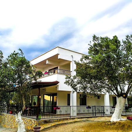 Kaymak Tepesi Tatil Evi Bed & Breakfast Kucukkuyu Exterior photo