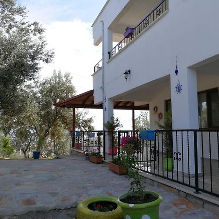 Kaymak Tepesi Tatil Evi Bed & Breakfast Kucukkuyu Exterior photo