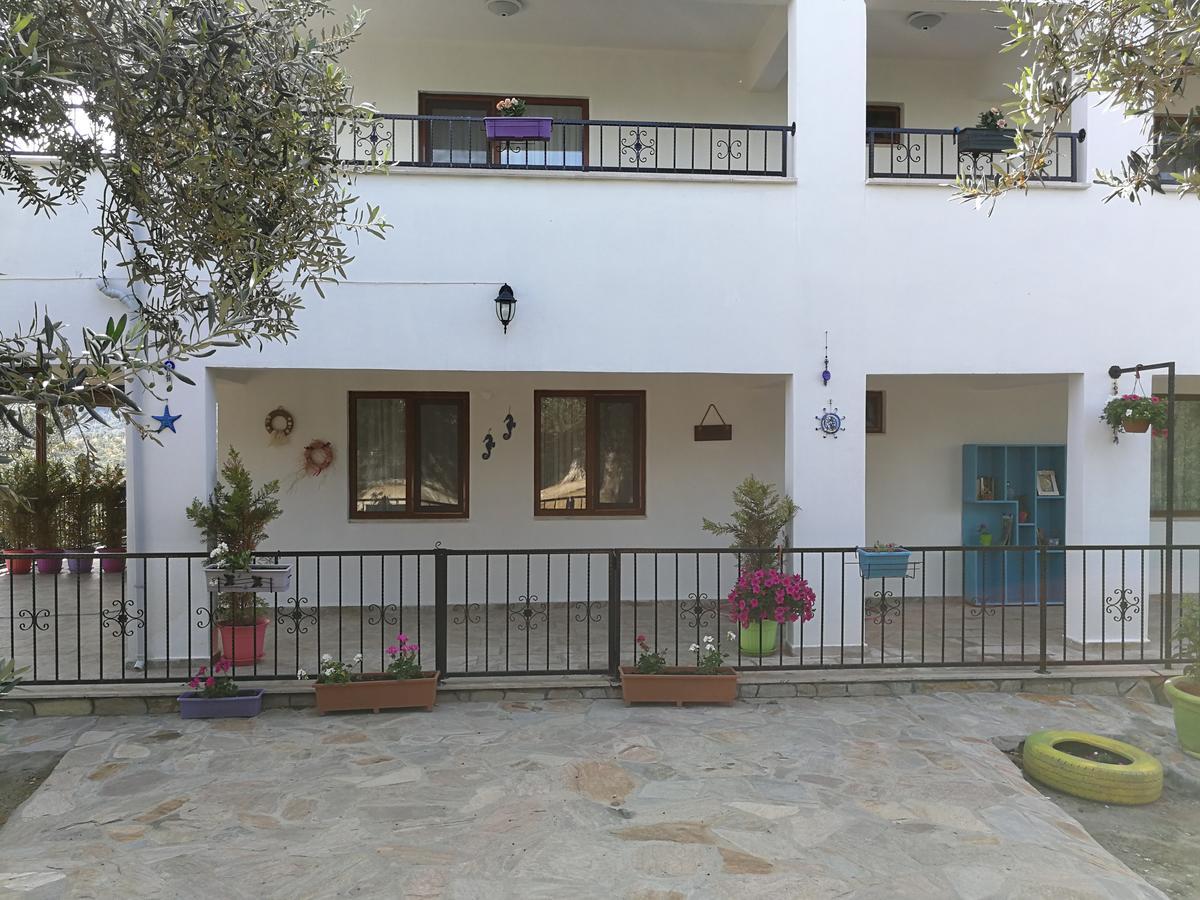 Kaymak Tepesi Tatil Evi Bed & Breakfast Kucukkuyu Exterior photo
