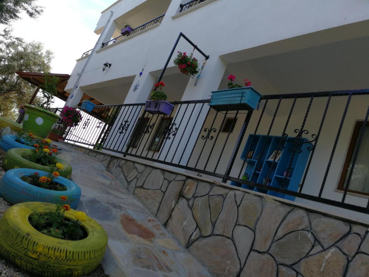 Kaymak Tepesi Tatil Evi Bed & Breakfast Kucukkuyu Exterior photo